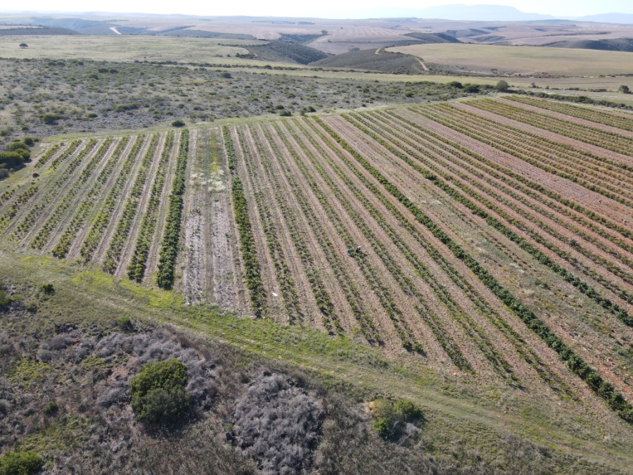 Commercial Property for Sale in Malgas Western Cape